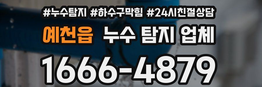 예천읍 누수 탐지 업체