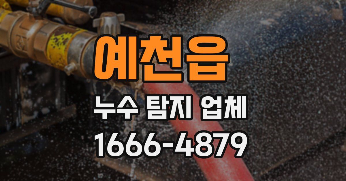예천읍 누수 탐지 업체