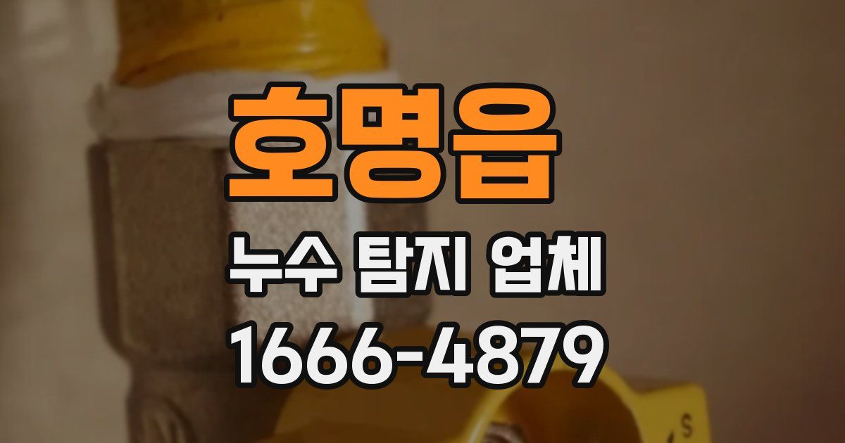 호명읍 누수 탐지 업체