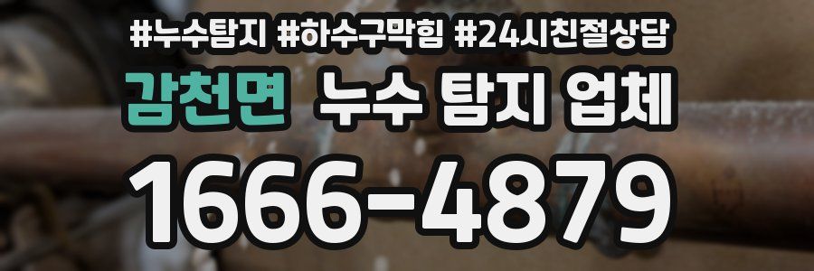 감천면 누수 탐지 업체