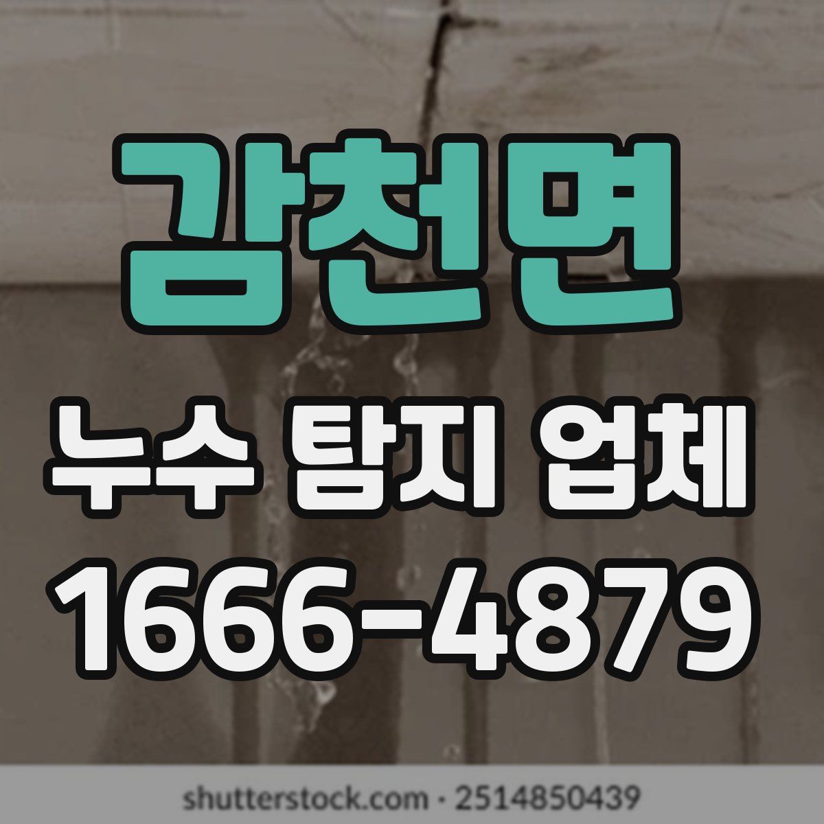감천면 누수 탐지 업체