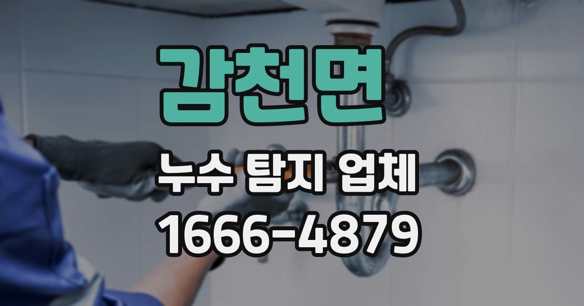 감천면 누수 탐지 업체