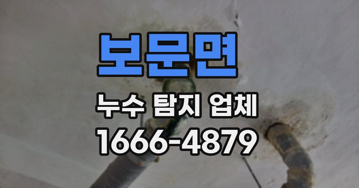 보문면 누수 탐지 업체