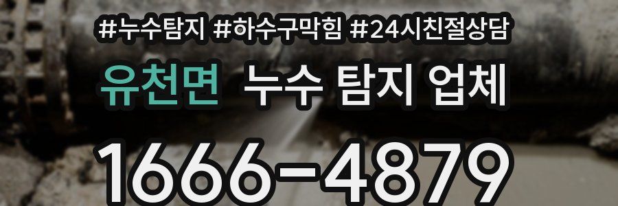 유천면 누수 탐지 업체