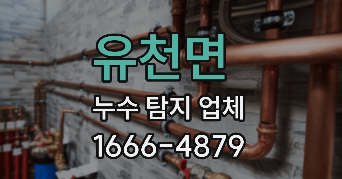 유천면 누수 탐지 업체