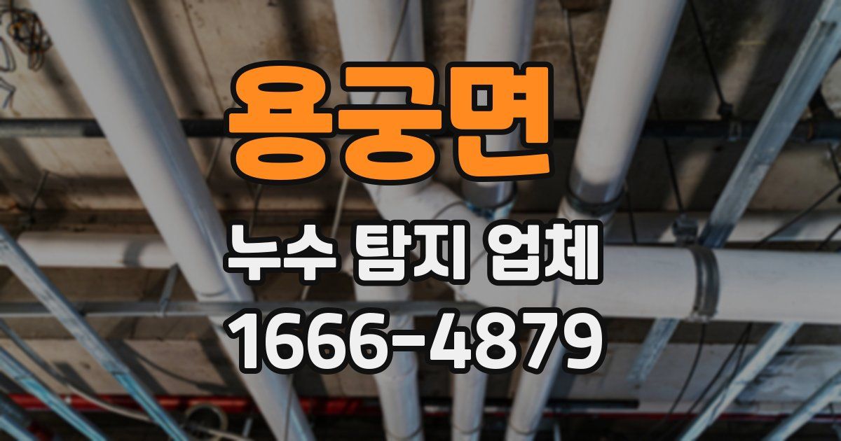 용궁면 누수 탐지 업체