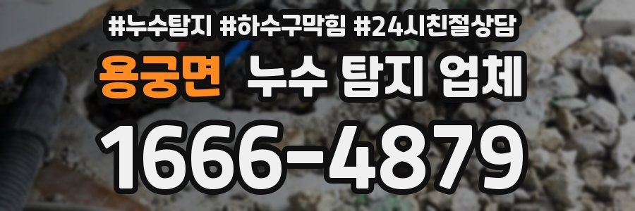 용궁면 누수 탐지 업체