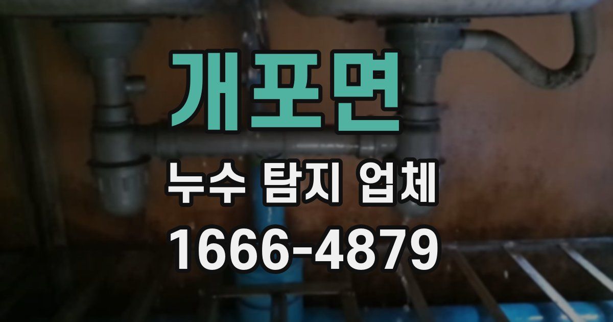 개포면 누수 탐지 업체