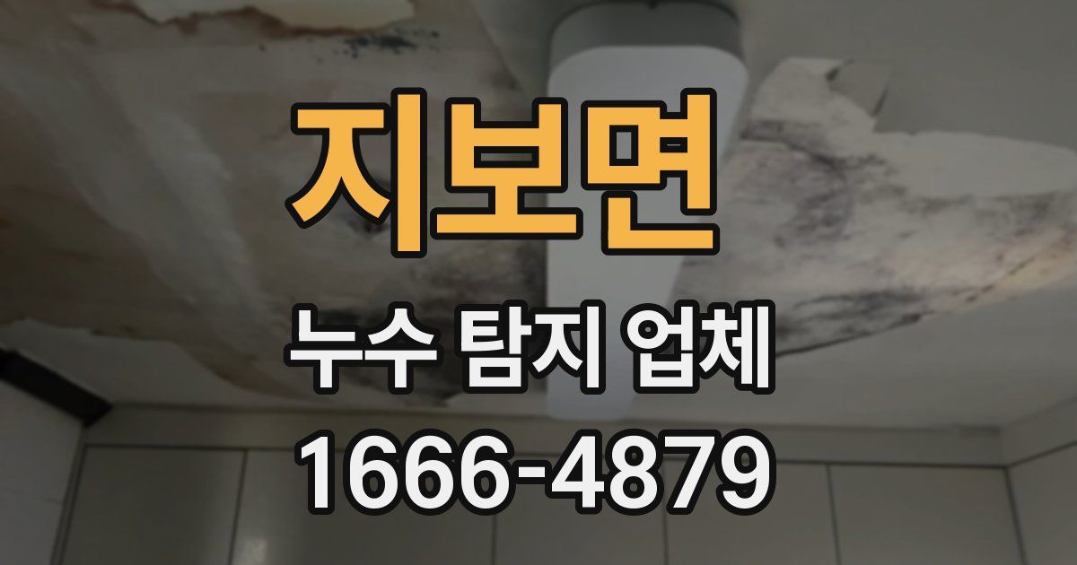 지보면 누수 탐지 업체