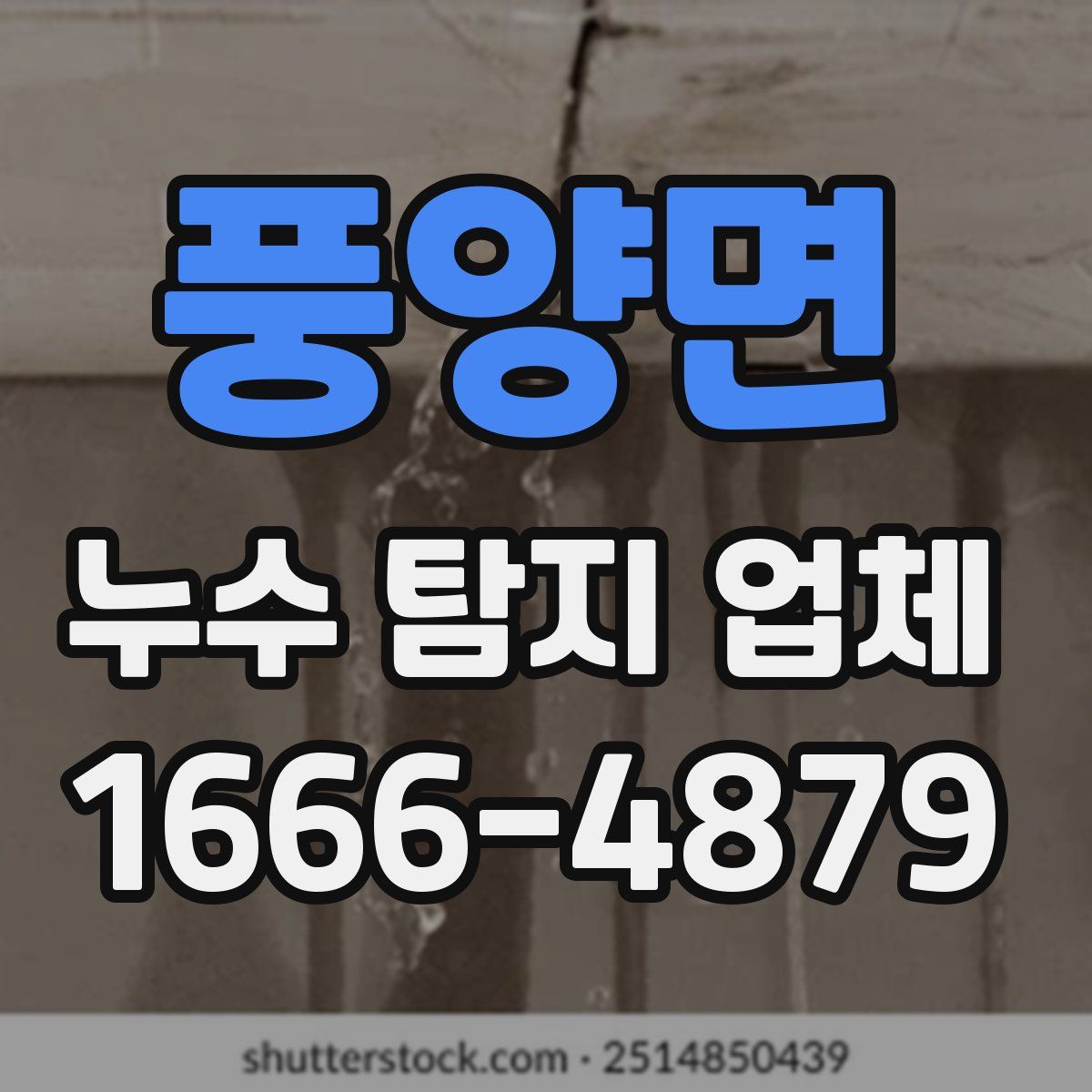 풍양면 누수 탐지 업체