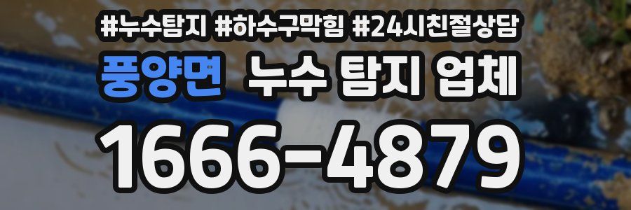 풍양면 누수 탐지 업체