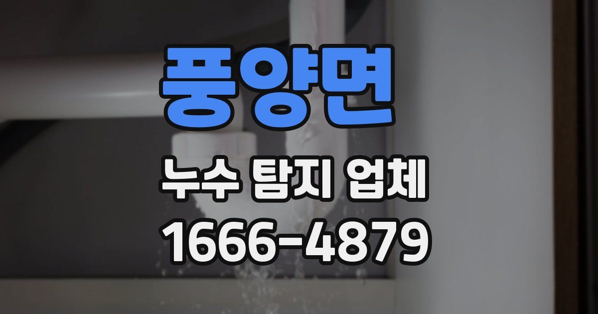 풍양면 누수 탐지 업체