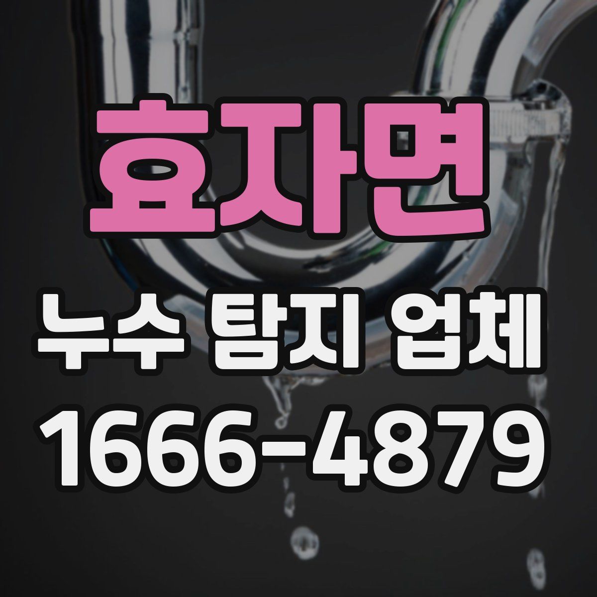 효자면 누수 탐지 업체