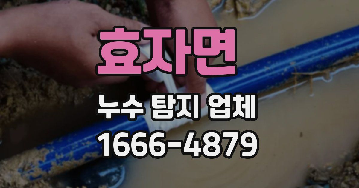 효자면 누수 탐지 업체