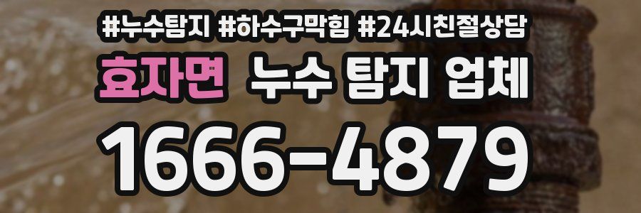 효자면 누수 탐지 업체
