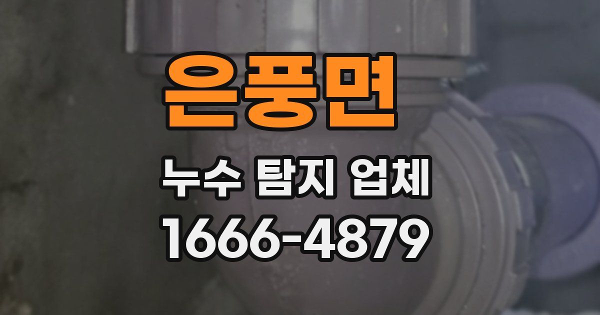 은풍면 누수 탐지 업체