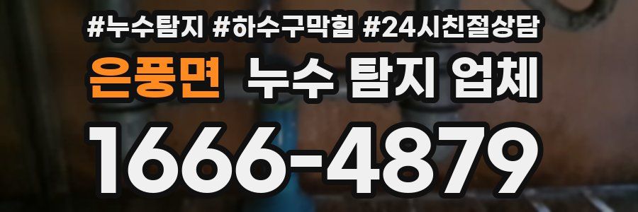 은풍면 누수 탐지 업체