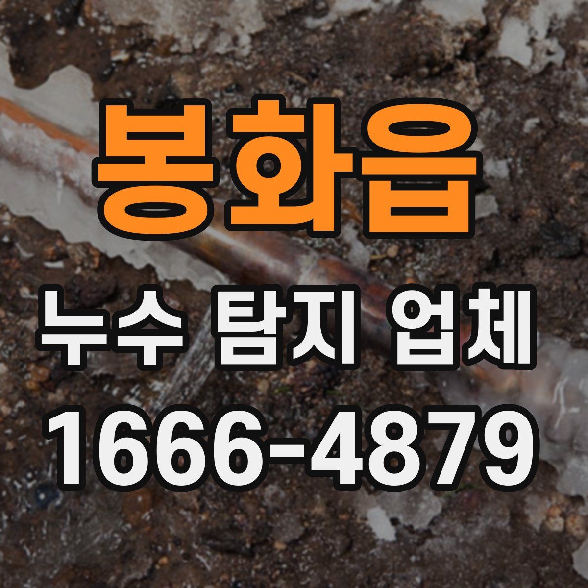 봉화읍 누수 탐지 업체