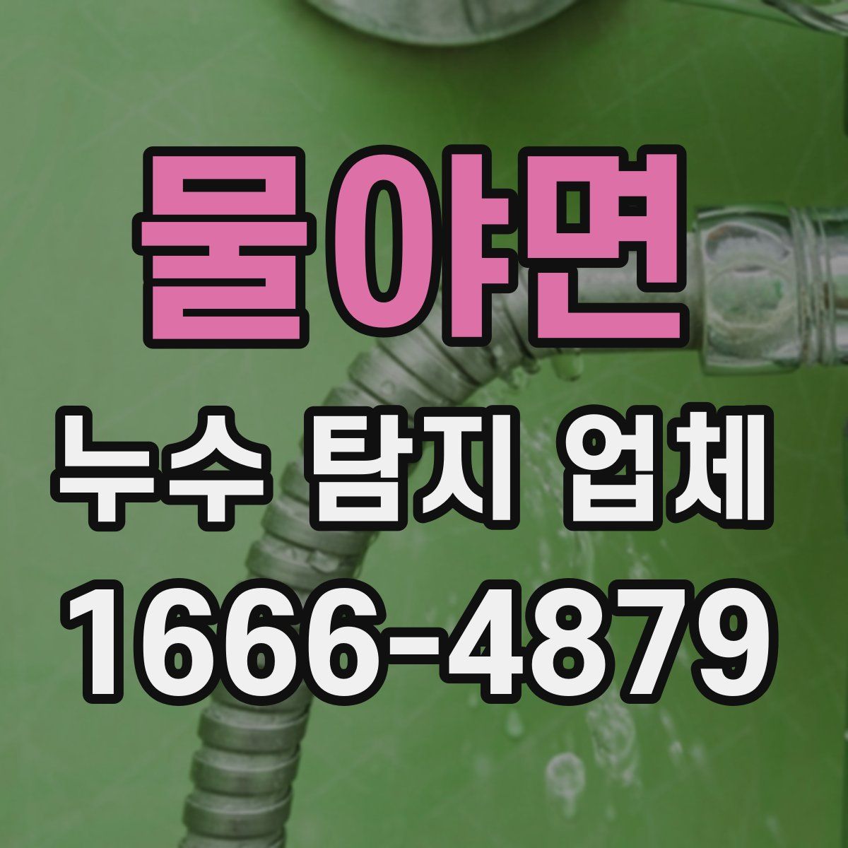 물야면 누수 탐지 업체