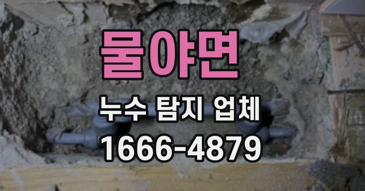 물야면 누수 탐지 업체