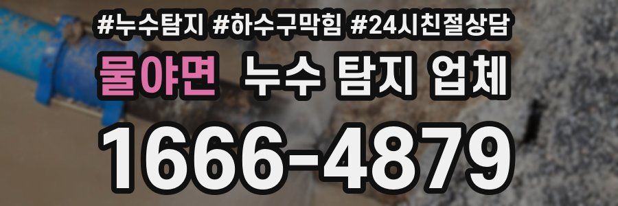물야면 누수 탐지 업체