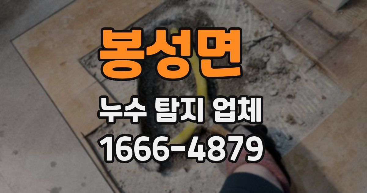 봉성면 누수 탐지 업체
