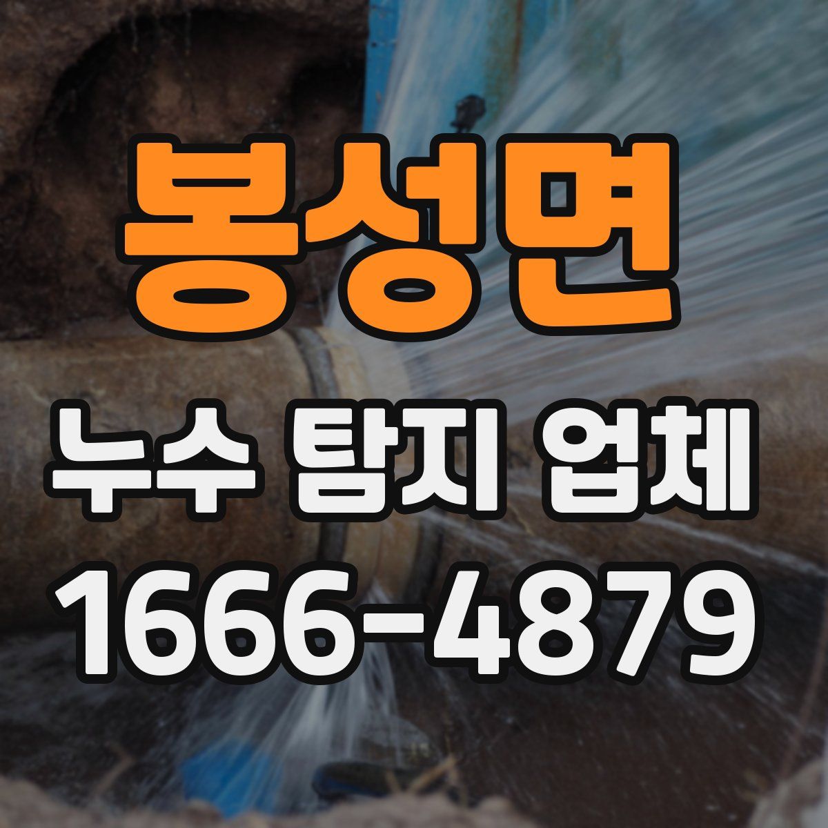 봉성면 누수 탐지 업체