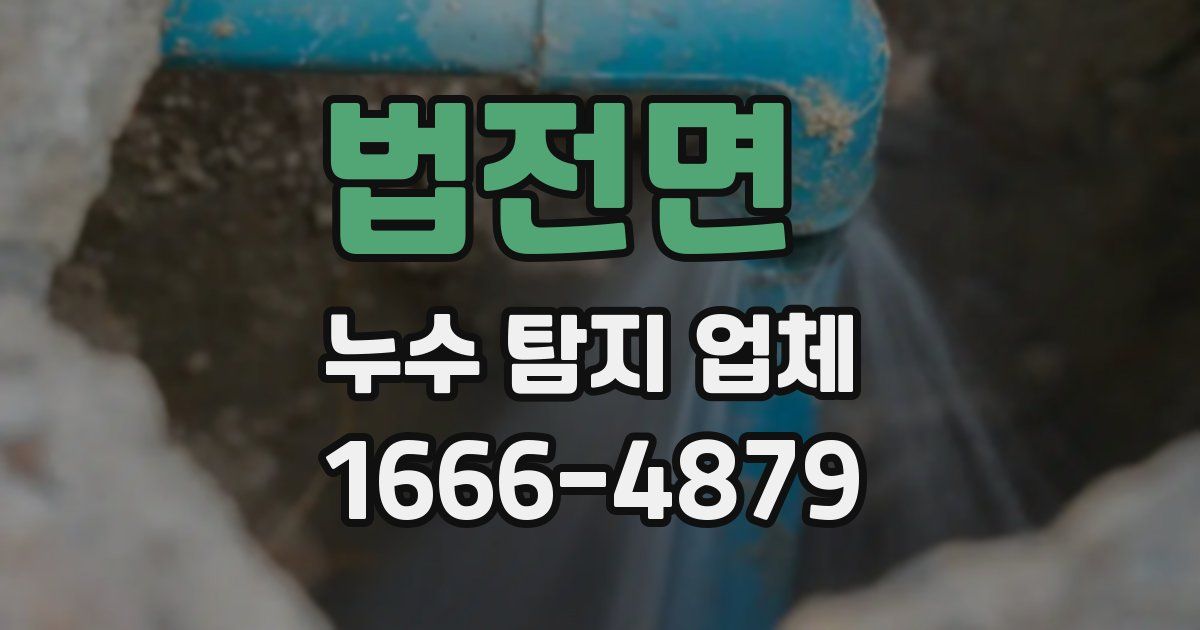 법전면 누수 탐지 업체