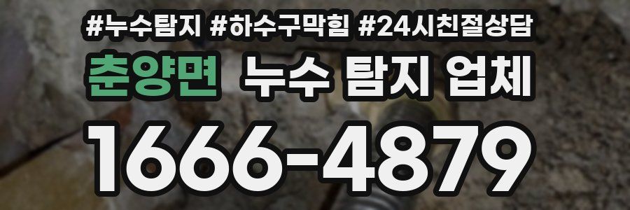 춘양면 누수 탐지 업체