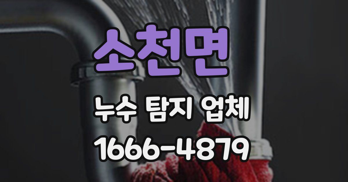 소천면 누수 탐지 업체