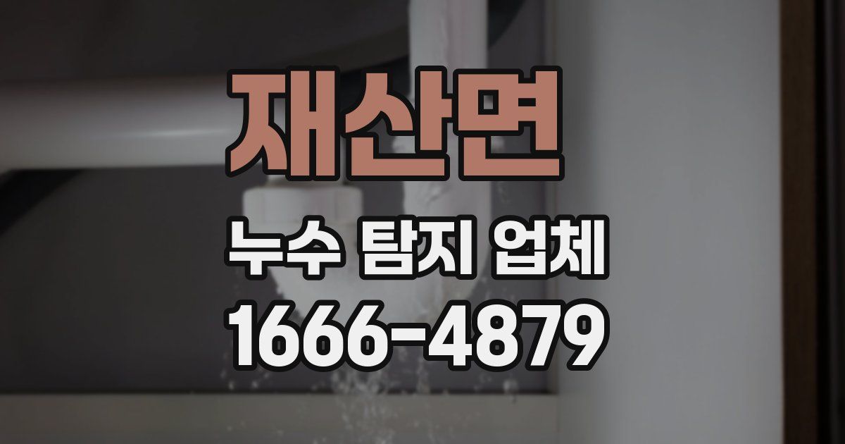 재산면 누수 탐지 업체