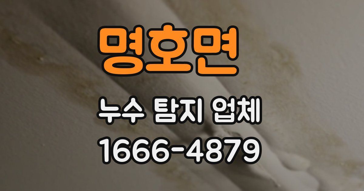 명호면 누수 탐지 업체