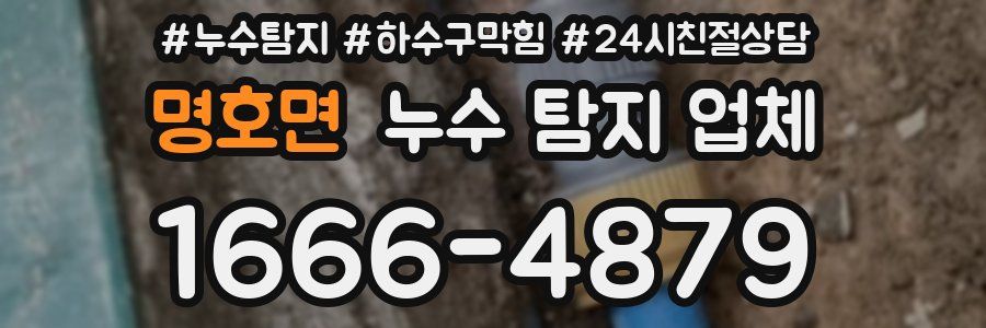 명호면 누수 탐지 업체
