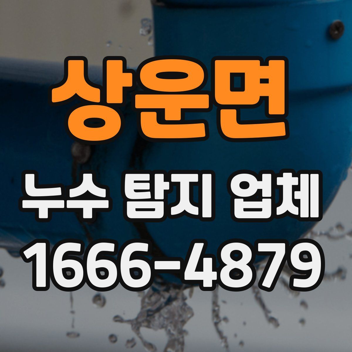 상운면 누수 탐지 업체