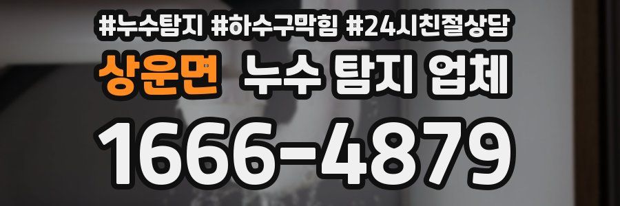 상운면 누수 탐지 업체