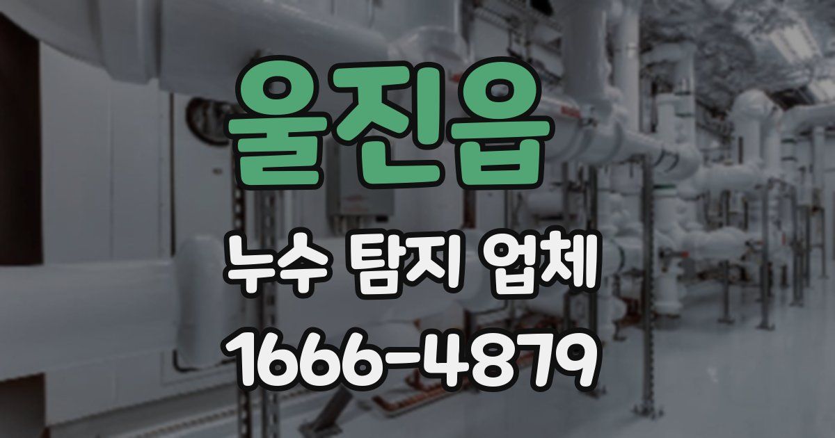 울진읍 누수 탐지 업체