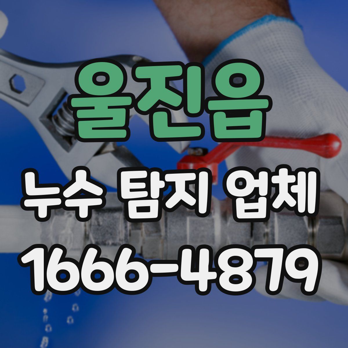 울진읍 누수 탐지 업체