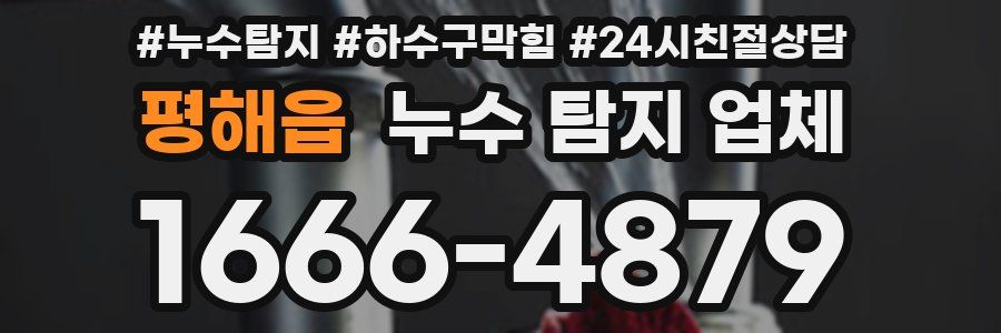 평해읍 누수 탐지 업체