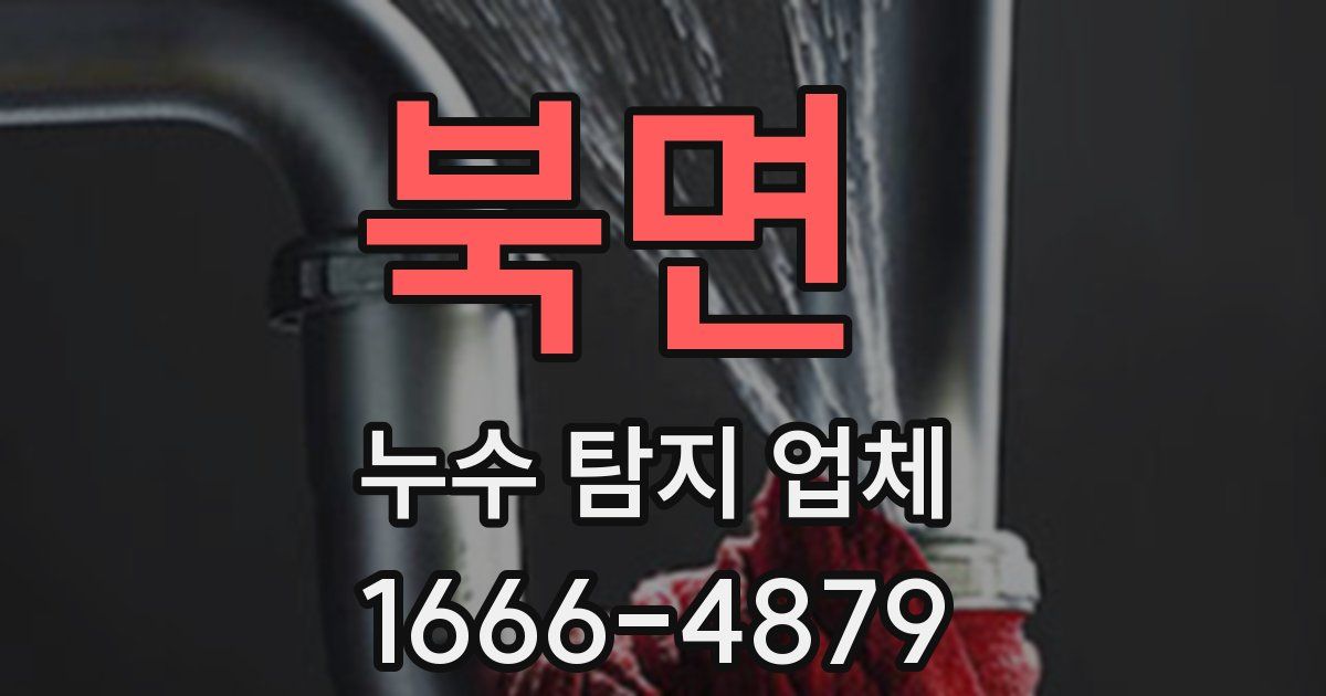 북면 누수 탐지 업체