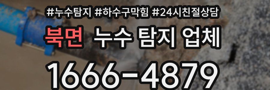 북면 누수 탐지 업체