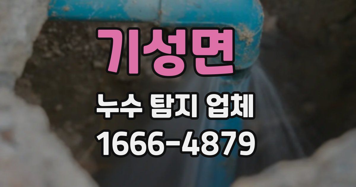 기성면 누수 탐지 업체