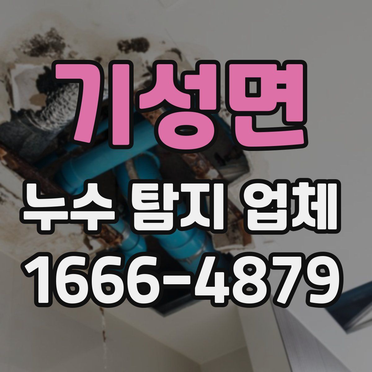 기성면 누수 탐지 업체