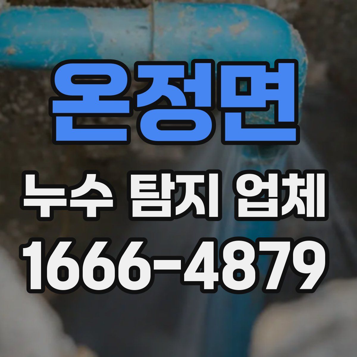 온정면 누수 탐지 업체