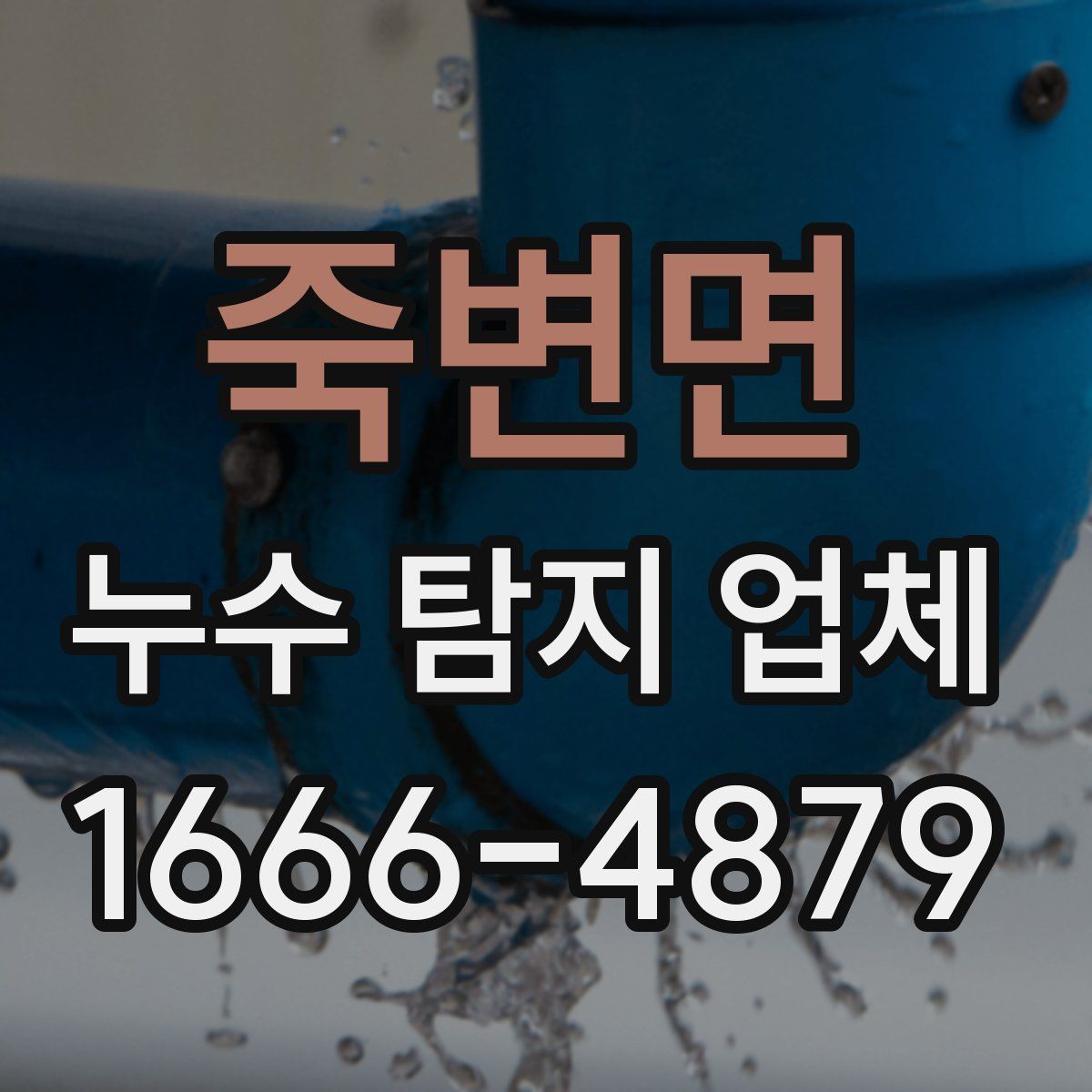 죽변면 누수 탐지 업체