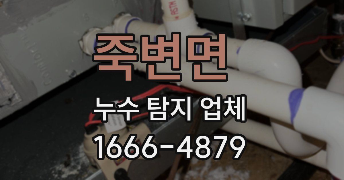 죽변면 누수 탐지 업체