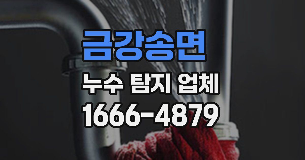 금강송면 누수 탐지 업체