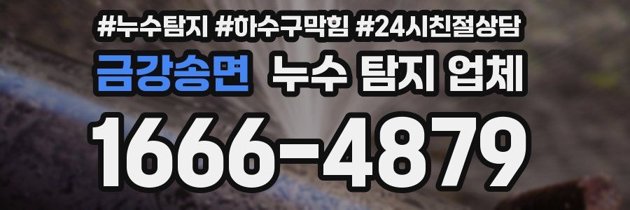 금강송면 누수 탐지 업체