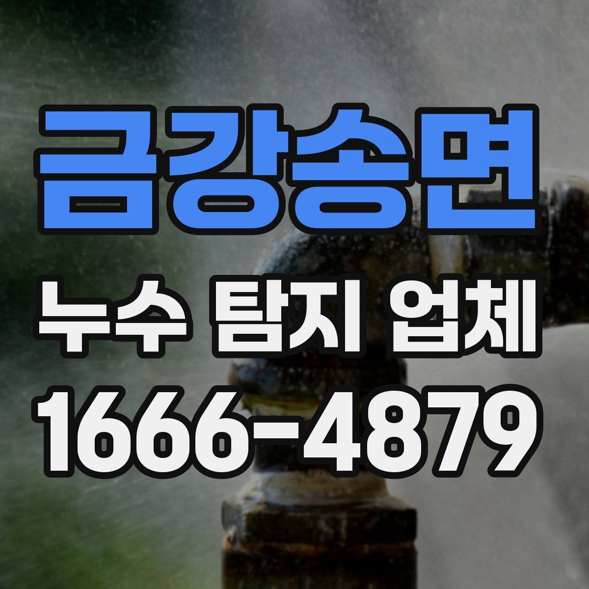 금강송면 누수 탐지 업체
