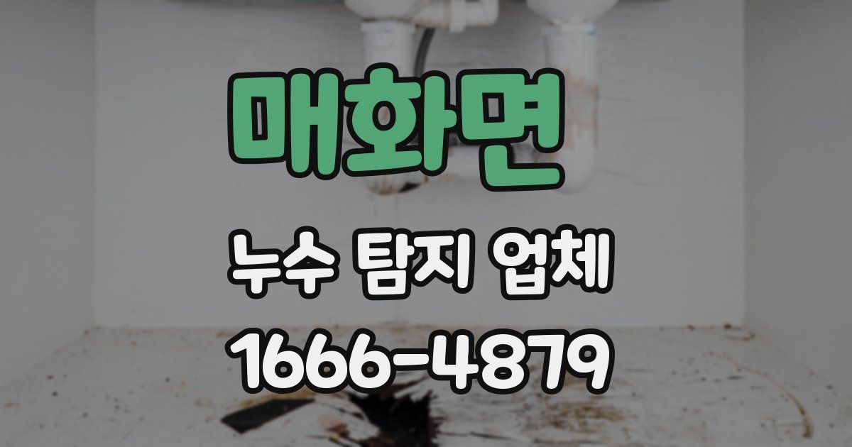 매화면 누수 탐지 업체