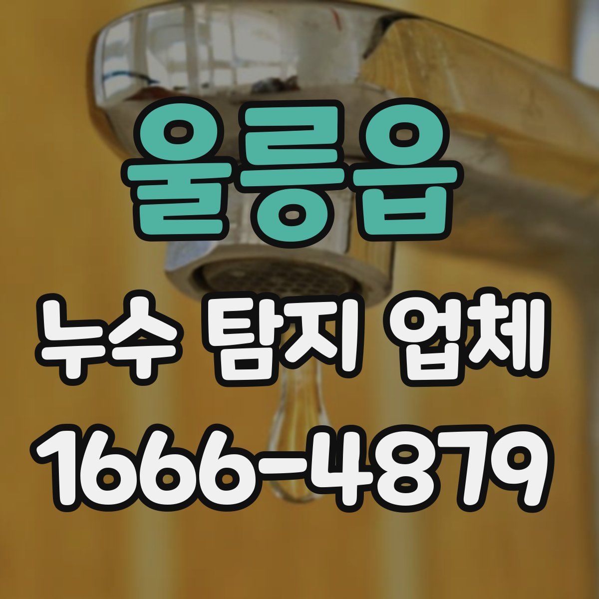 울릉읍 누수 탐지 업체